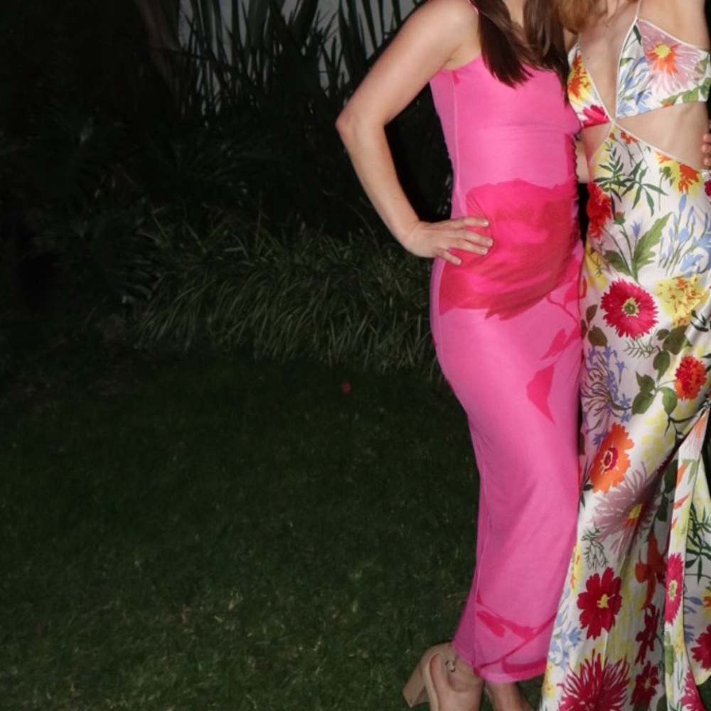 Princess Polly Pink dress